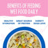Weruva Dog Meals n More Grandma Chicken Soup Dog Food 3.5oz - Poudre Pet and Feed Supply